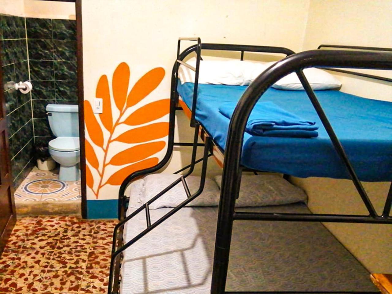Hostal El Rio León المظهر الخارجي الصورة