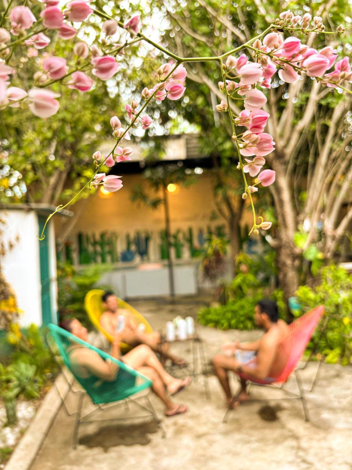 Hostal El Rio León المظهر الخارجي الصورة